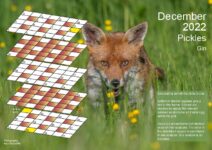 December 2022 puzzle page