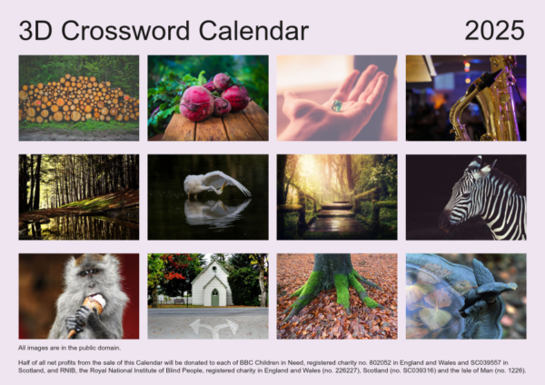 Back cover of the 2025 3D Crossword Calendar