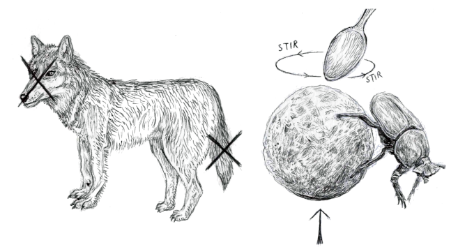 Visual clue for OLD GUN