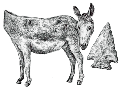 Visual clue for ULEMA